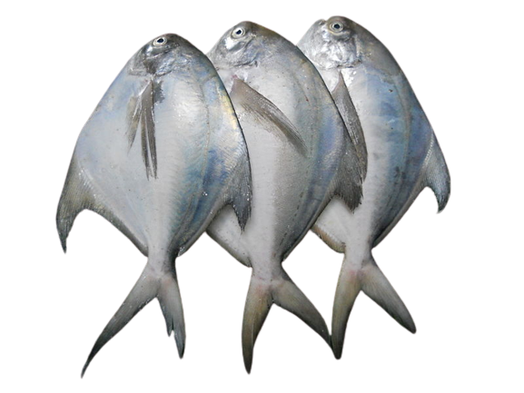 Pomfret Fish Recipe